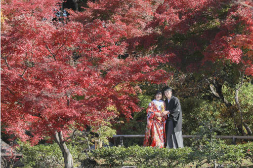 紅葉に囲まれて。