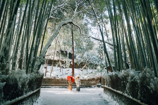 嵐山の竹林