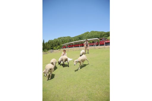 奥に見えるのは敷地内を走行するローザン鉄道です。 ワインレッドな色合いが写真映えします。