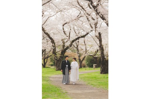 昭和記念公園桜6