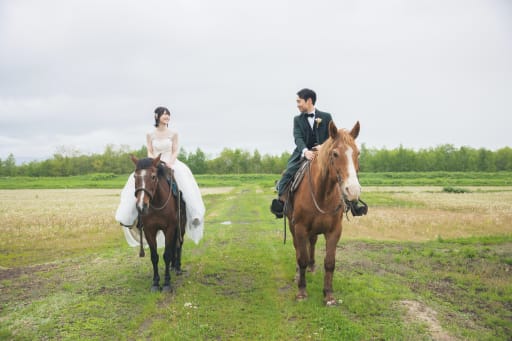 乗馬ロケーション