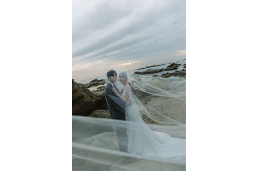 ロングベール🕊️