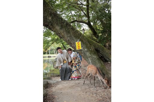 鹿さんと遭遇♪