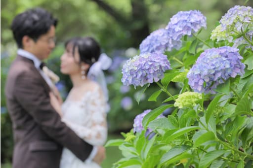 紫陽花と一緒に。