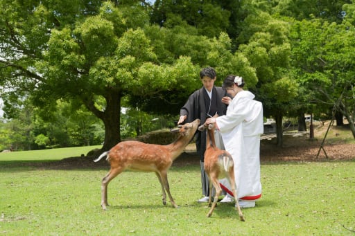公園