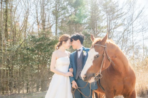 お馬さんがお二人を見てます