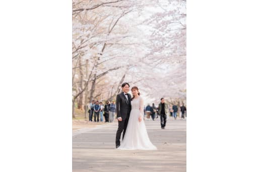 桜のトンネル