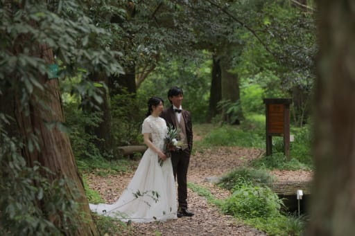 木々から差し込む光の下で