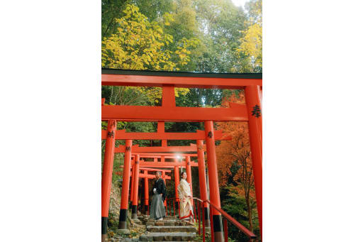 鳥居が連なる壮大な場所で