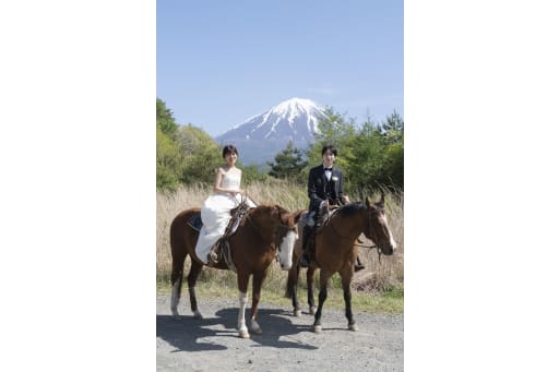 雪化粧の富士山と