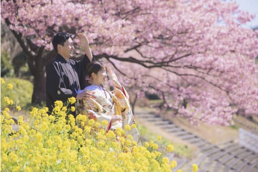 菜の花と桜