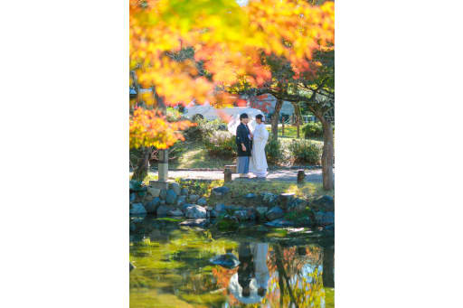 紅葉といえば赤の印象が強いですが、今回は黄色の色付きも素晴らしい見所となっています。