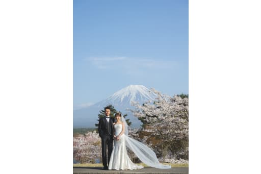 桜と富士山と青空とベールと
