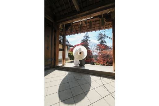 シルエットのお写真も