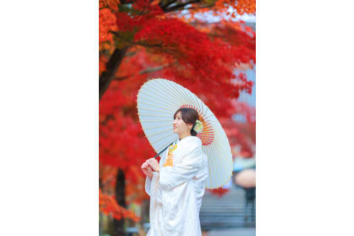 また、ちょうど紅葉のシーズンでもありましたので、紅葉した木々を背景に撮影することができました。