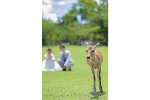 今回は奈良のロケーション撮影についてです！