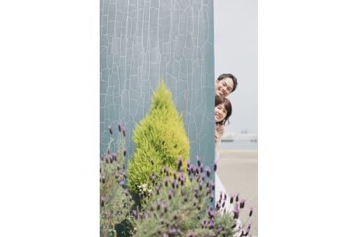 ひょっこり。。