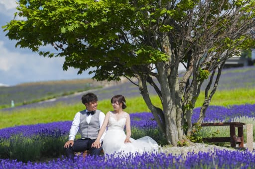 大きな木の下、ラベンダーに囲まれて