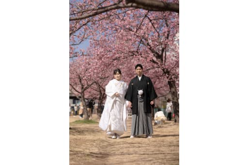 桜に囲まれて