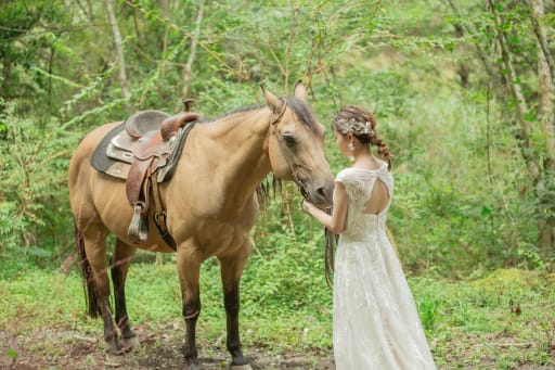 新婦様とお馬さん