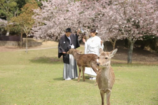 鹿との撮影も！