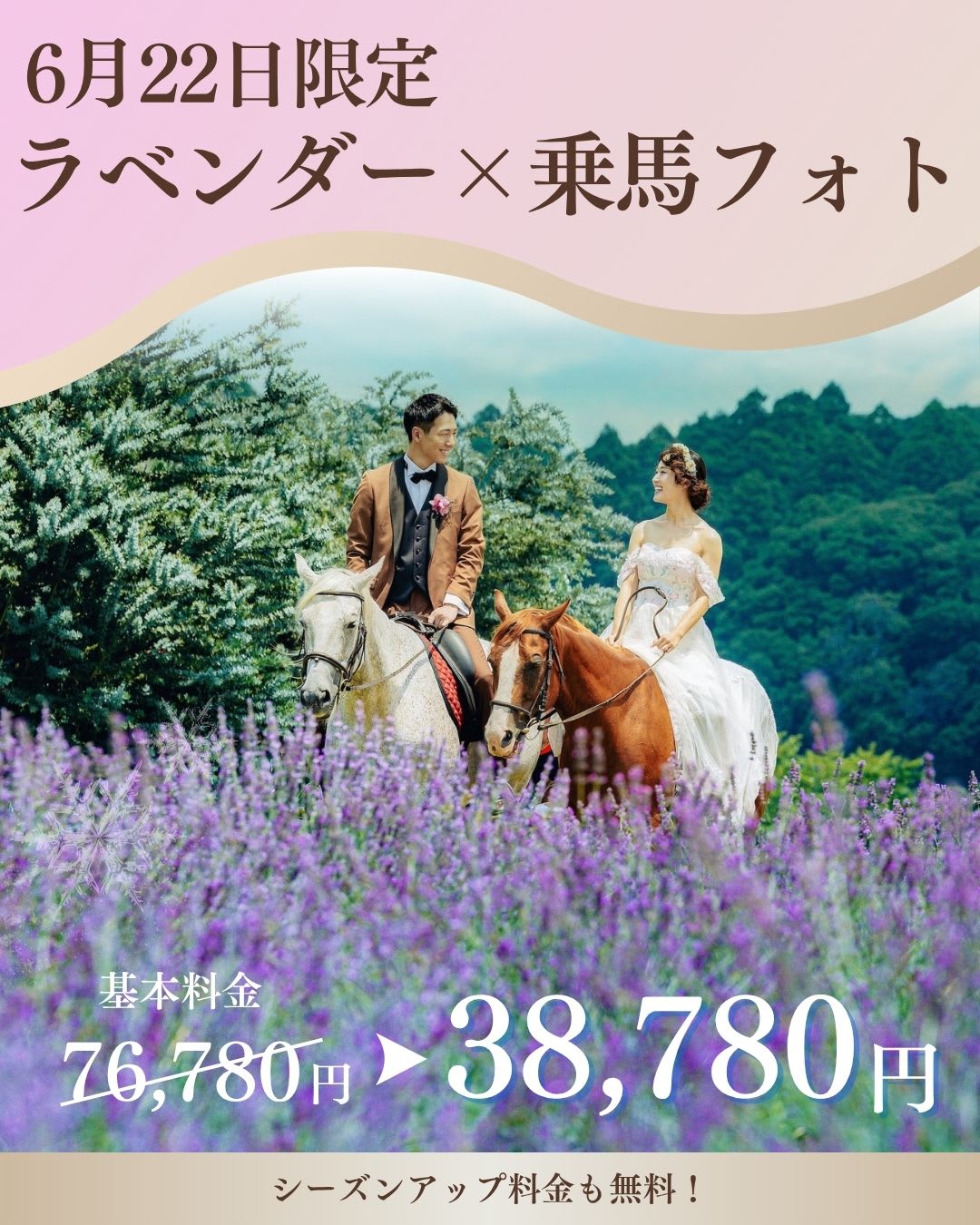 6月22日 撮影限定！佐倉ラベンダーランド×乗馬フォト特別価格でご案内♡