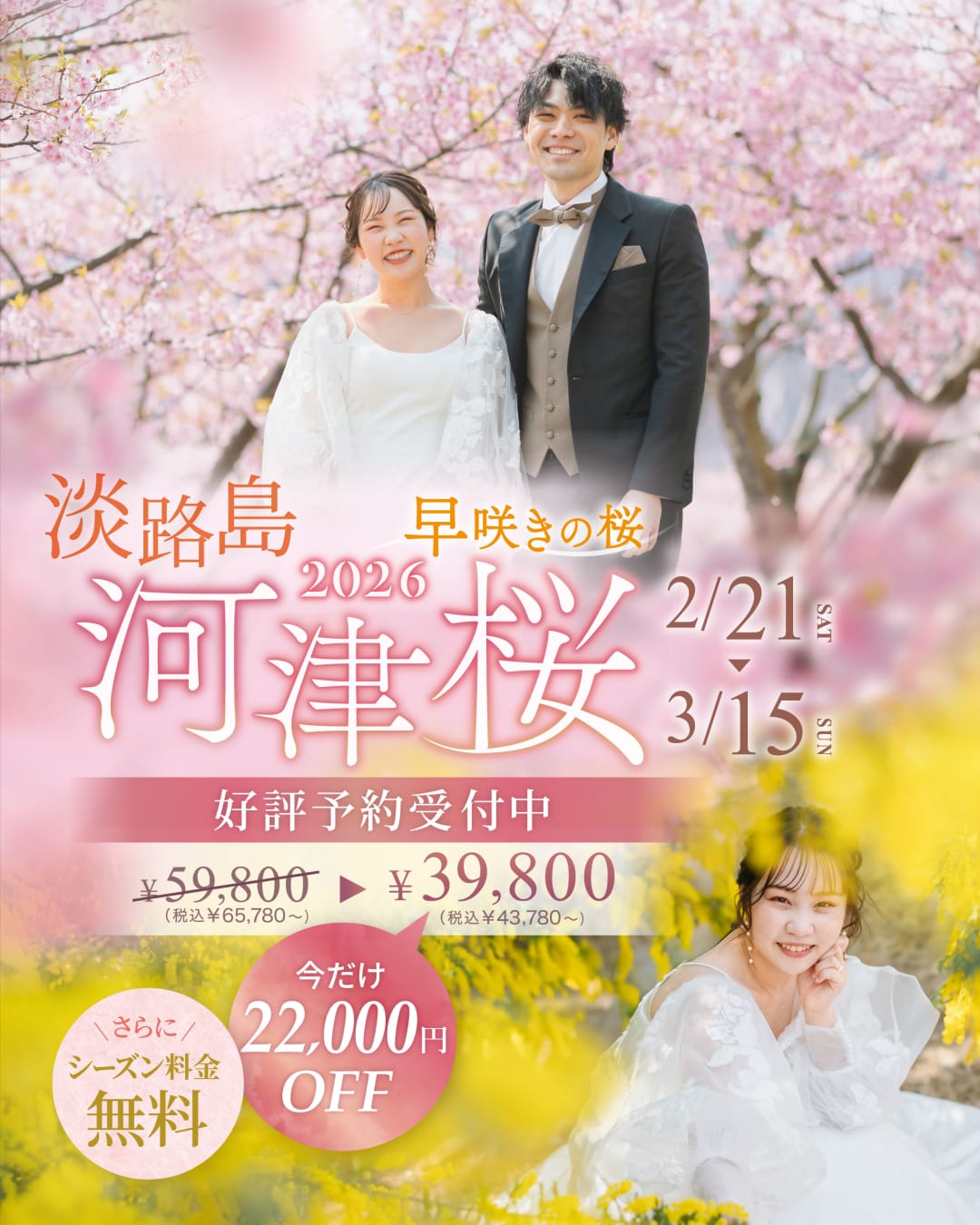 淡路島河津桜・受付スタート♪