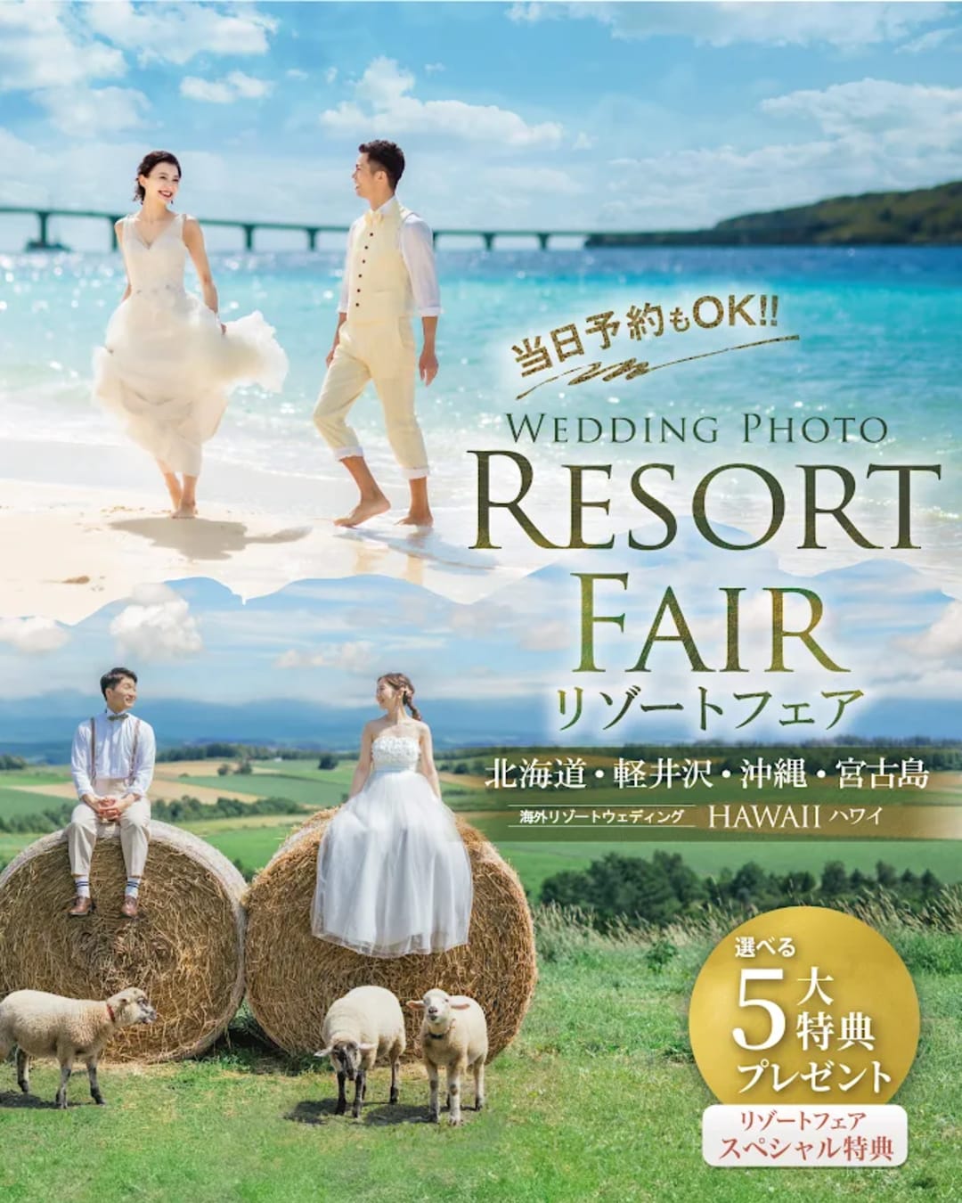 旅×結婚写真ならおまかせ！リゾートフェア開催！