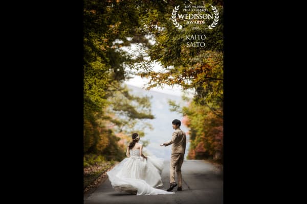 WEDISSON AWARD 67COLLECTION