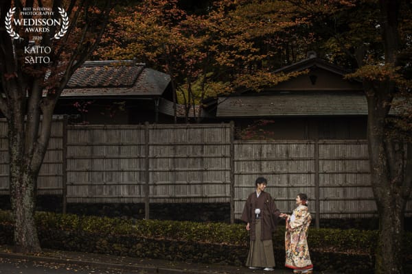 WEDISSON AWARD 68COLLECTION