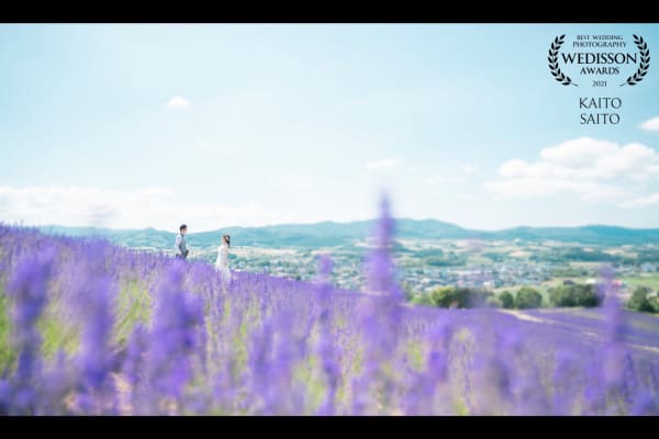 WEDISSON AWARD 76COLLECTION