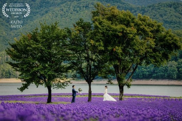 WEDISSON AWARD 64COLLECTION