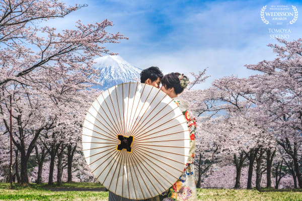 WEDISSON AWARDS 2022 84Collection  2022