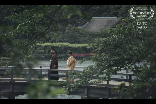 WEDISSON AWARD 74COLLECTION