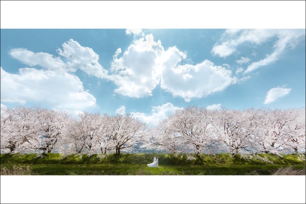 2019 First Half WPPI　シルバー受賞