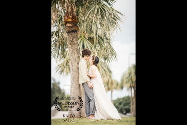 WEDISSON AWARD 70COLLECTION