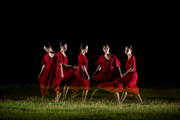 2019年　Decollte Wedding Photography Award グランプリ