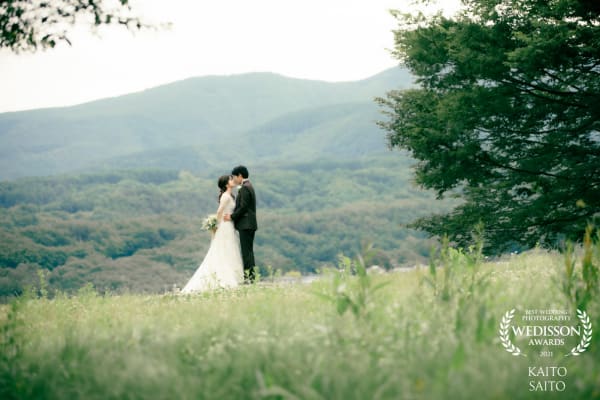 WEDISSON AWARD 75COLLECTION