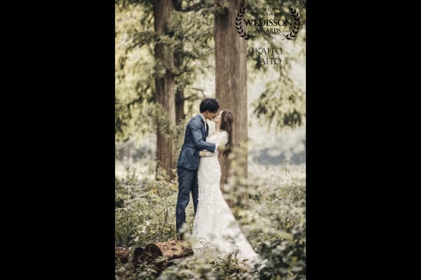 WEDISSON AWARD 67COLLECTION