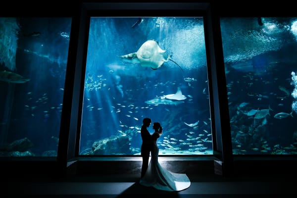 2025年　富士フイルム　営業写真コンテスト 銅賞