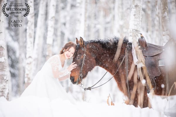 WEDISSON AWARD 59COLLECTION