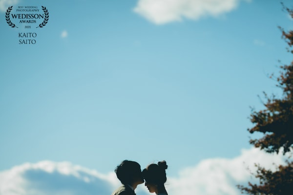 WEDISSON AWARD 80COLLECTION