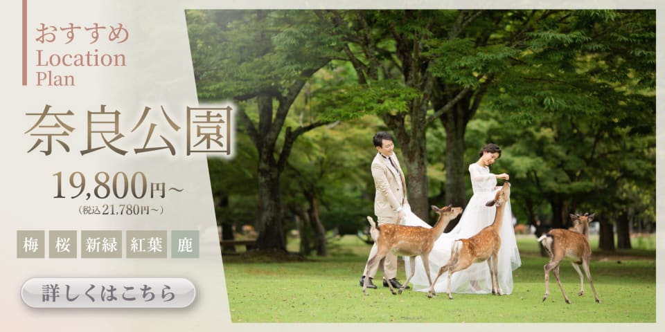 和装も洋装も！広がる豊かな自然と、鹿たちとのふれあいを楽しめます