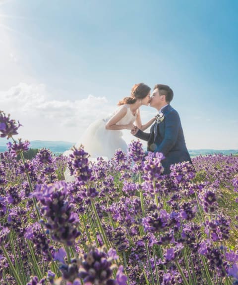 フォトウェディング・前撮り・結婚写真の専門スタジオ 【スタジオSOLA】ラベンダー