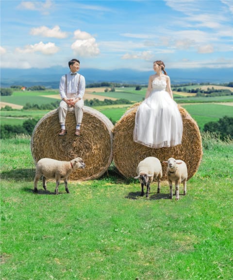 フォトウェディング・前撮り・結婚写真の専門スタジオ 【スタジオSOLA】