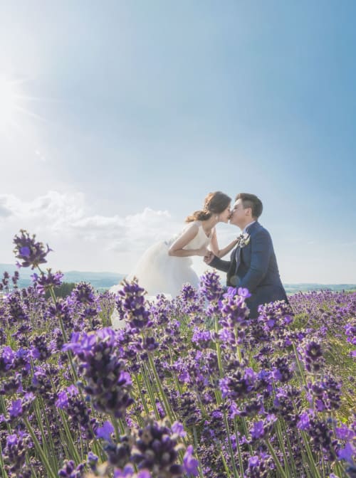 フォトウェディング・前撮り・結婚写真の専門スタジオ 【スタジオソラ 美瑛店】