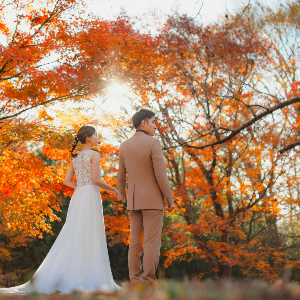 紅葉プラン予約お待ちしてます！！