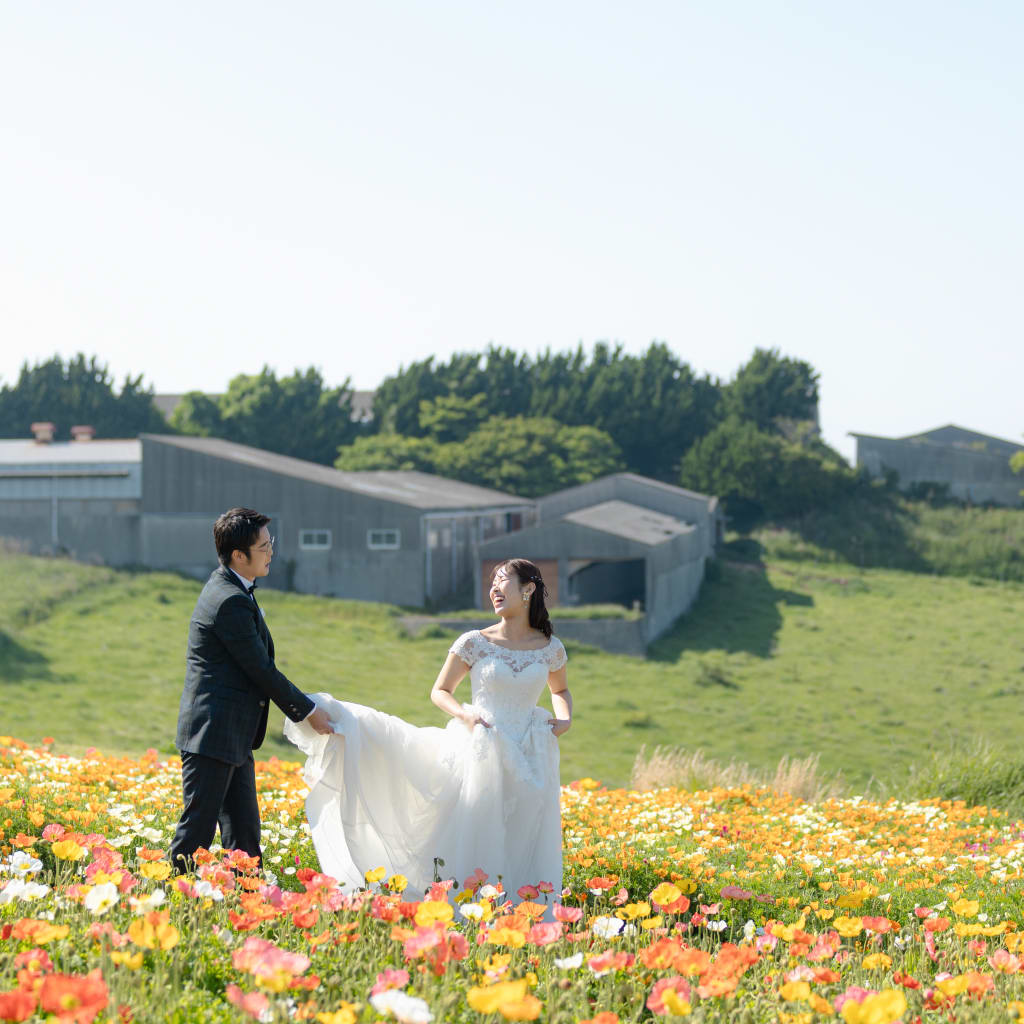 花さじきロケーション
