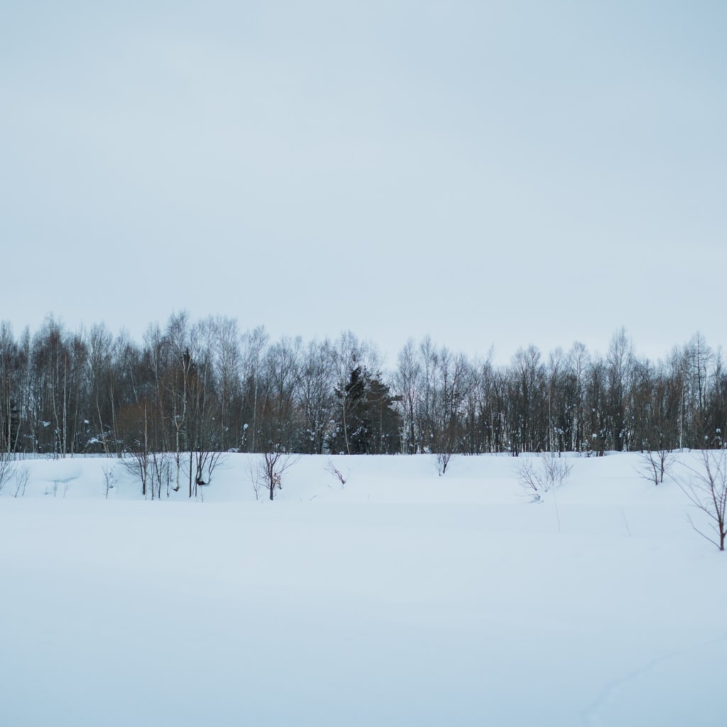 2026年冬美瑛営業まもなく終了