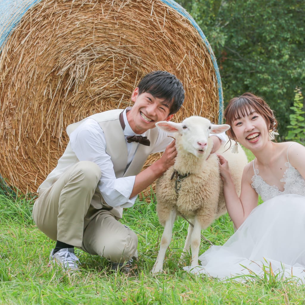 可愛い動物達とTHE北海道の景色をバックにフォト撮影✨